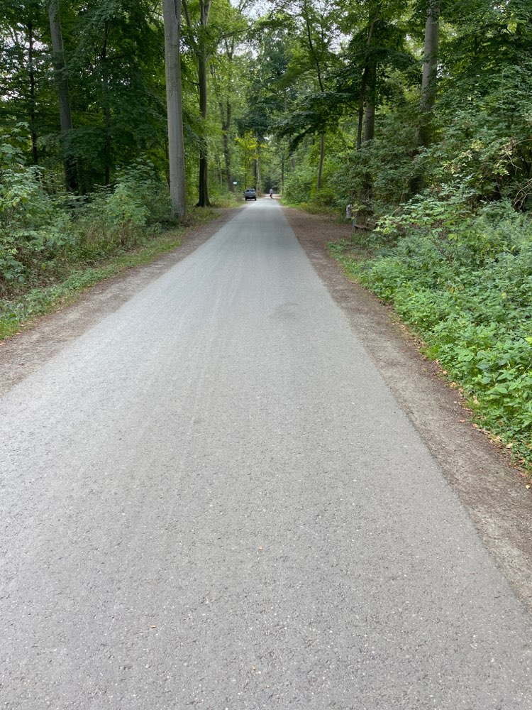 Giftköder-Glassplitter-Profilbild