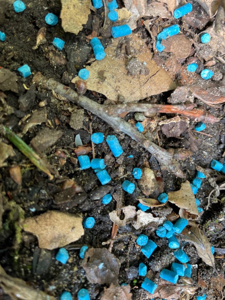 Giftköder-Schneckenkorn auf Gräbern-Profilbild