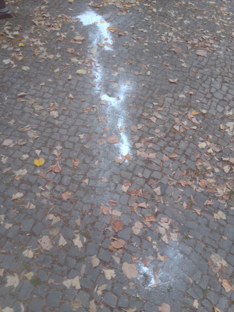 Giftköder-Weißes Pulver-Profilbild