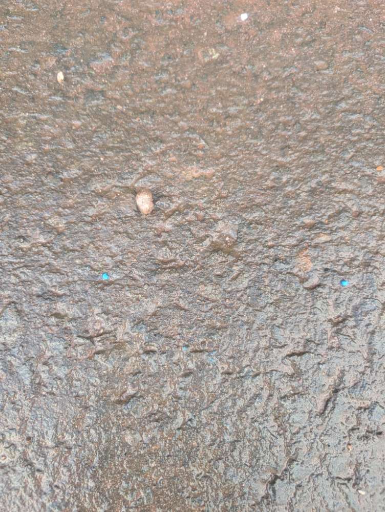 Giftköder-Mögliches Schneckenkorn-Profilbild