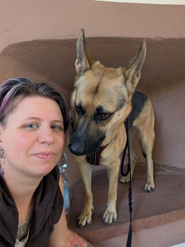 Hundetreffen-Spielgefährten gesucht-Profilbild
