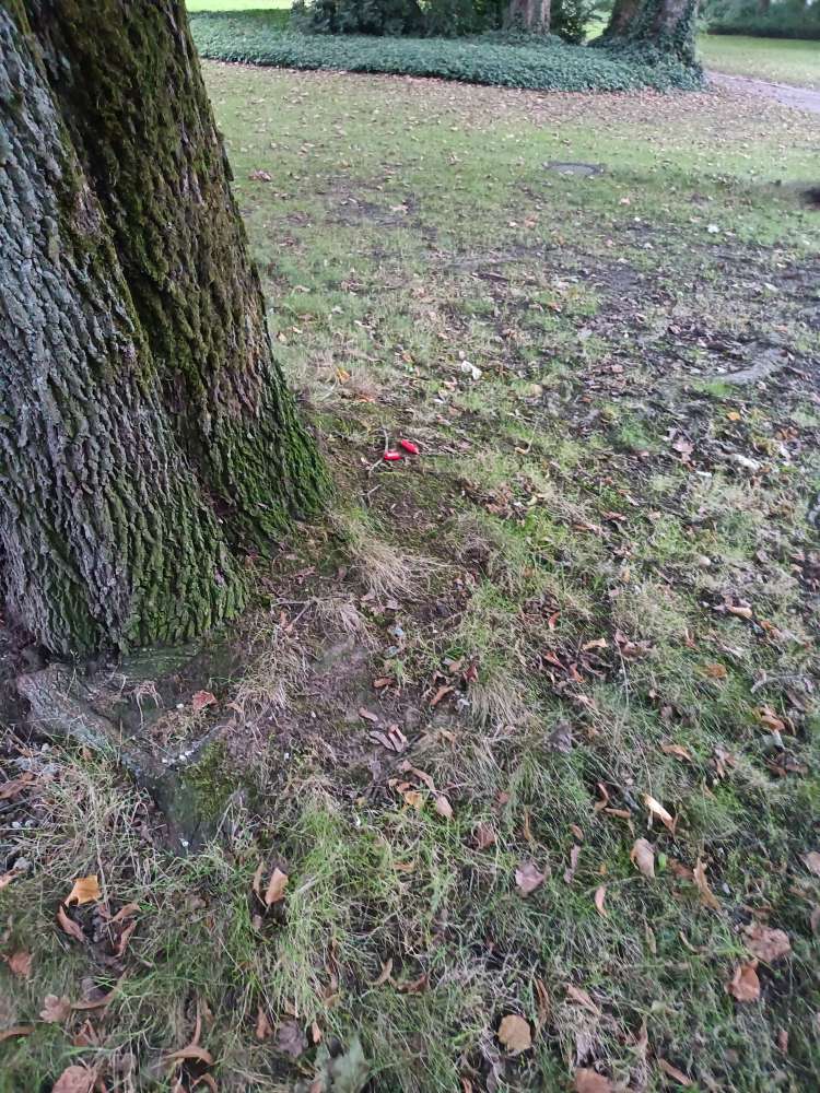 Giftköder-Giftköder-Profilbild