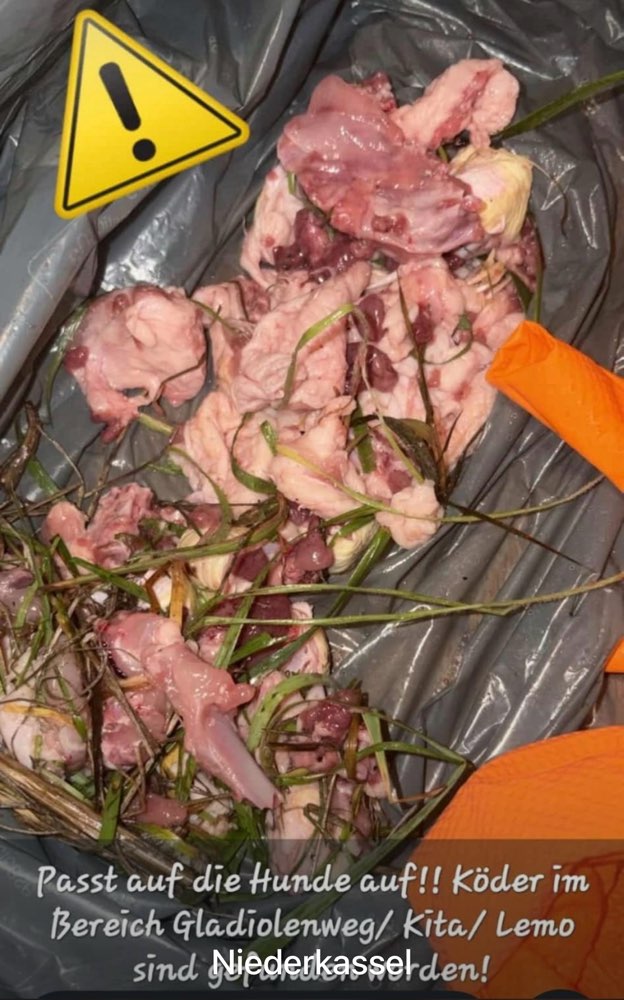 Giftköder-Giftköder-Profilbild