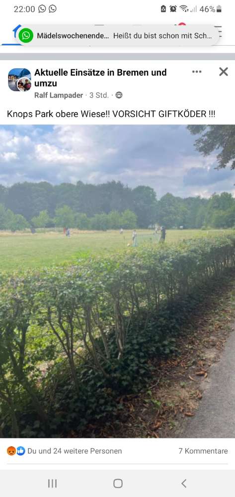 Giftköder-Giftköder Knoops-Profilbild