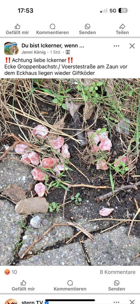 Giftköder-Giftköder in Ickern-Profilbild