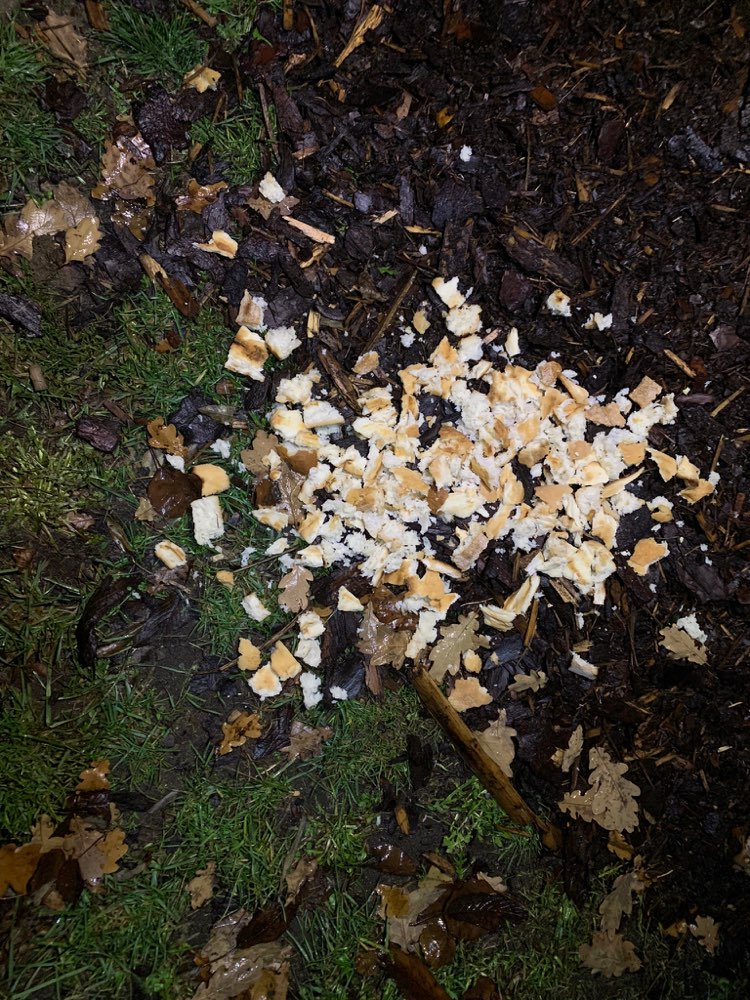 Giftköder-Vermutlich Giftköder gefunden!-Profilbild