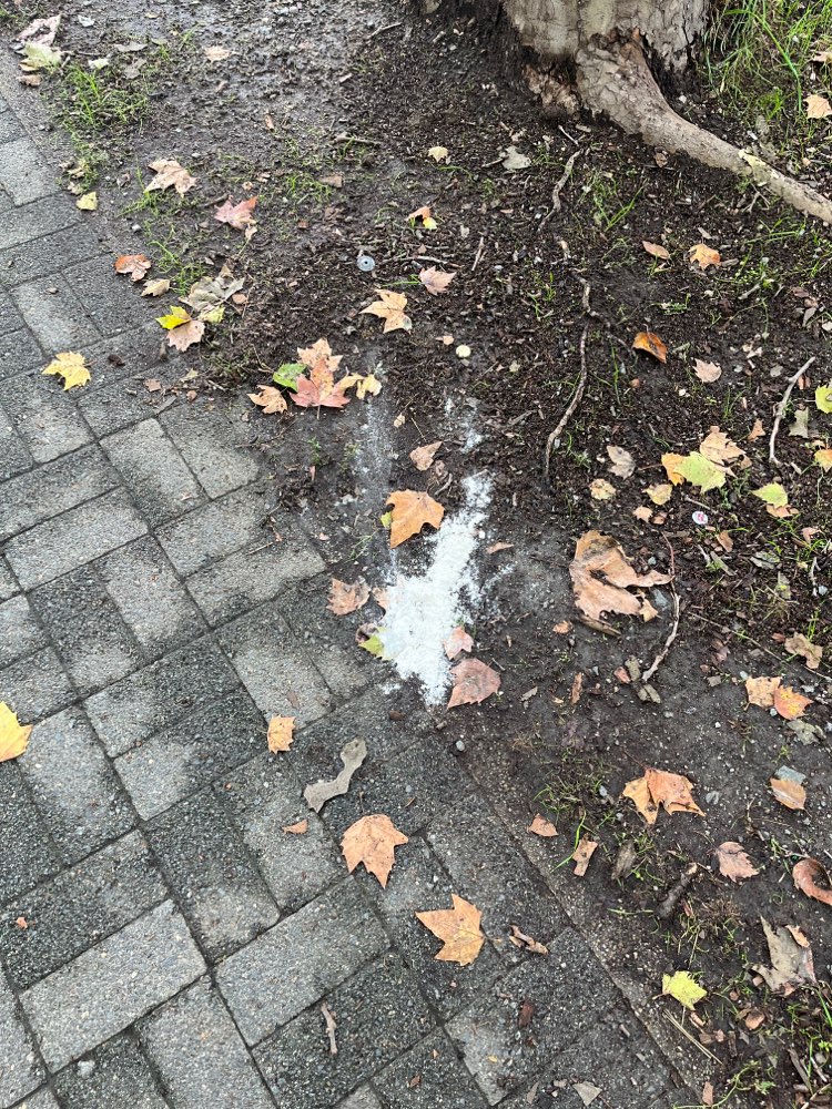 Giftköder-Unbekannte Substanz am Sedanplatz-Profilbild