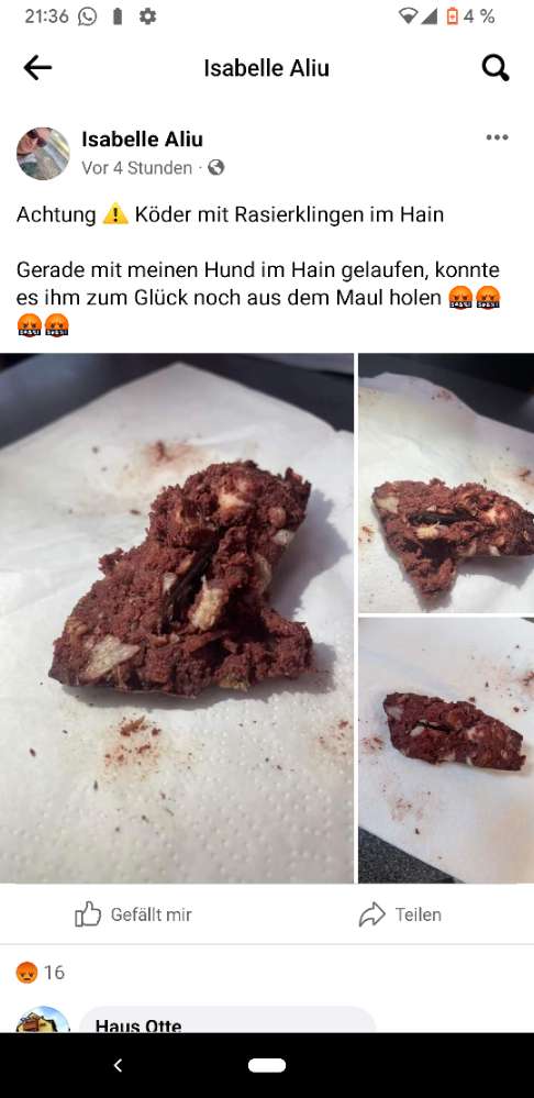 Giftköder-Giftköder-Profilbild