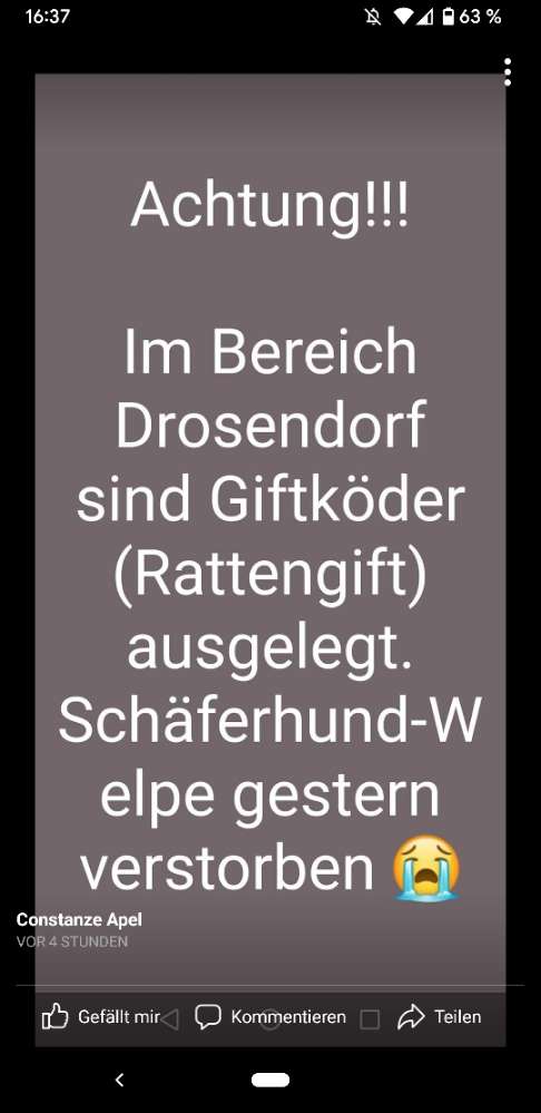 Giftköder-Giftköder-Profilbild