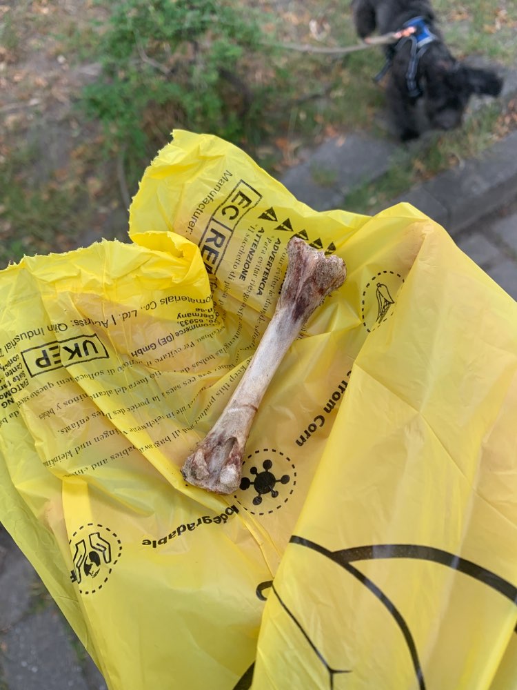 Giftköder-Erneut ausgelegte Knochen-Profilbild