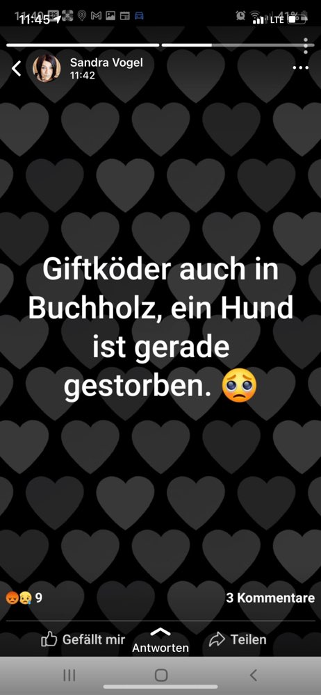 Giftköder-Giftköder - ein verstorbener Hund-Profilbild