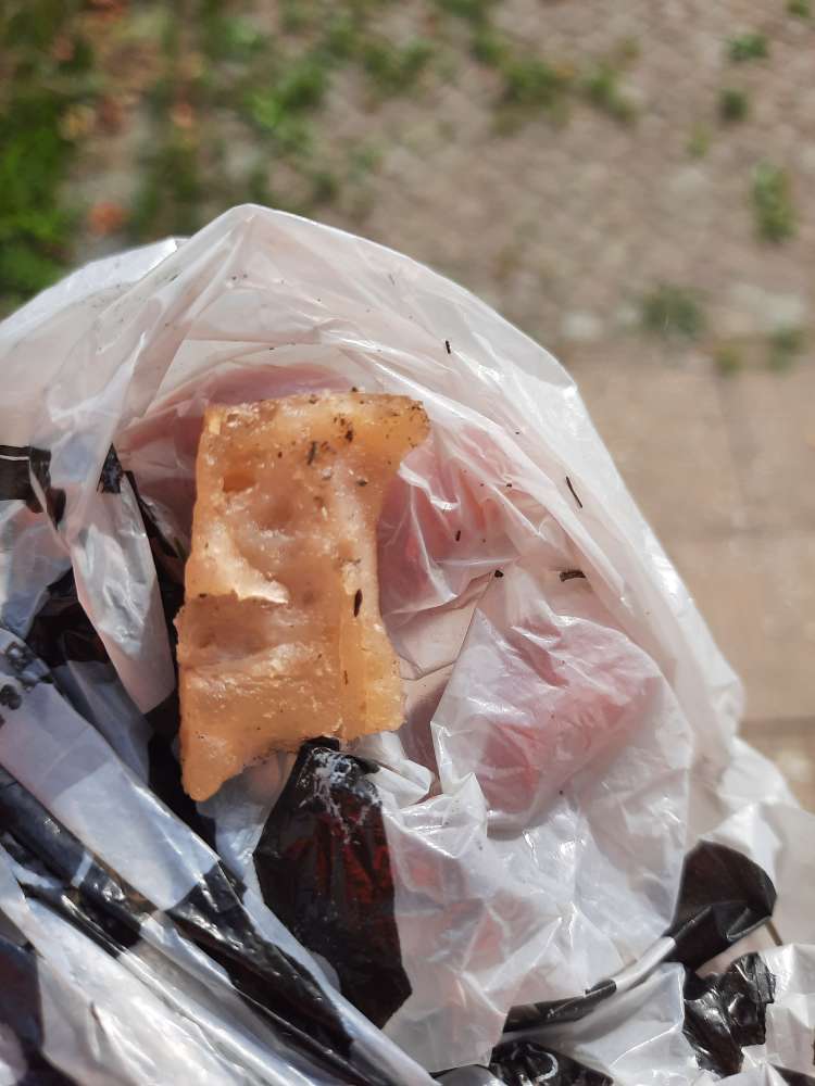 Giftköder-Giftköder-Profilbild