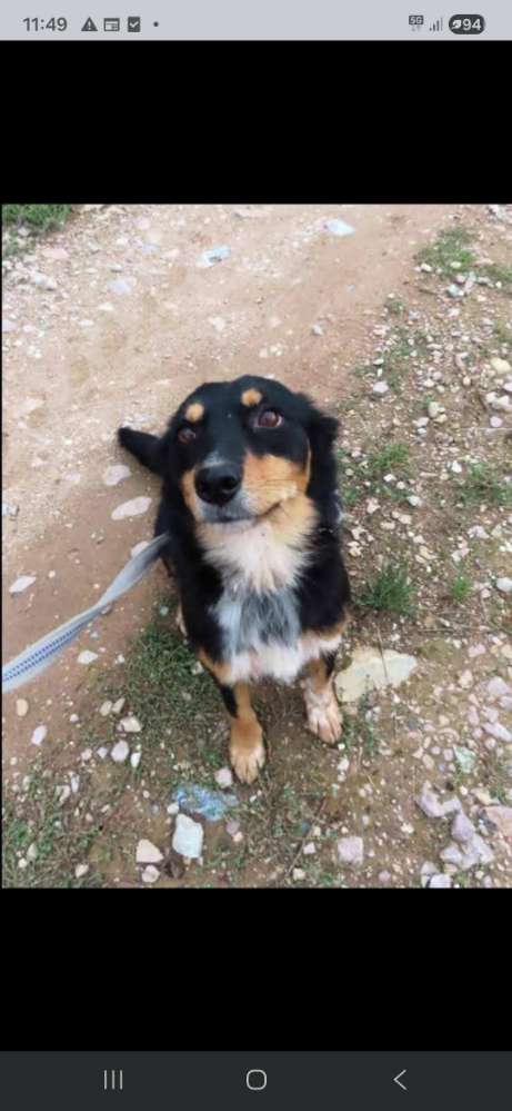 Suchmeldung-Misha-Profilbild