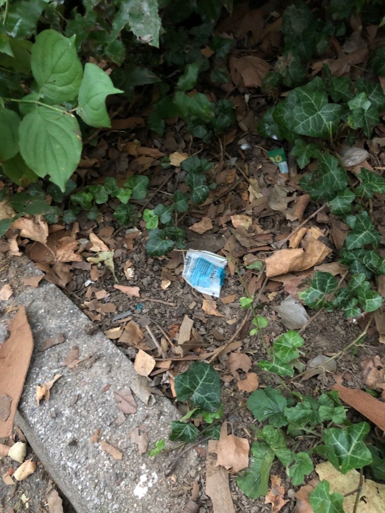 Giftköder-Rattengift ausgelegt !-Profilbild