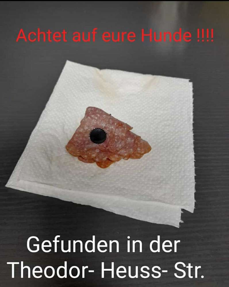 Giftköder-Gespickte Wurst mit Reißzwecken-Profilbild