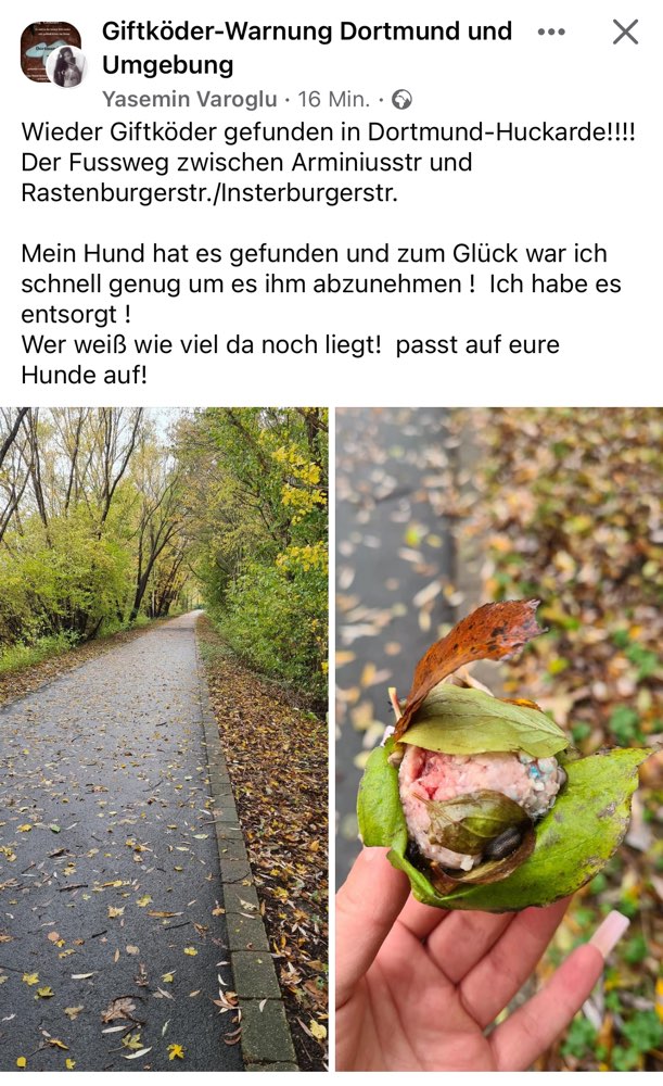 Giftköder-Erneuter Giftköderfund-Profilbild