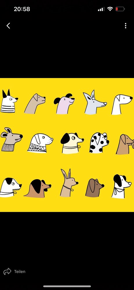 Hundetreffen-Mantrailing-Profilbild