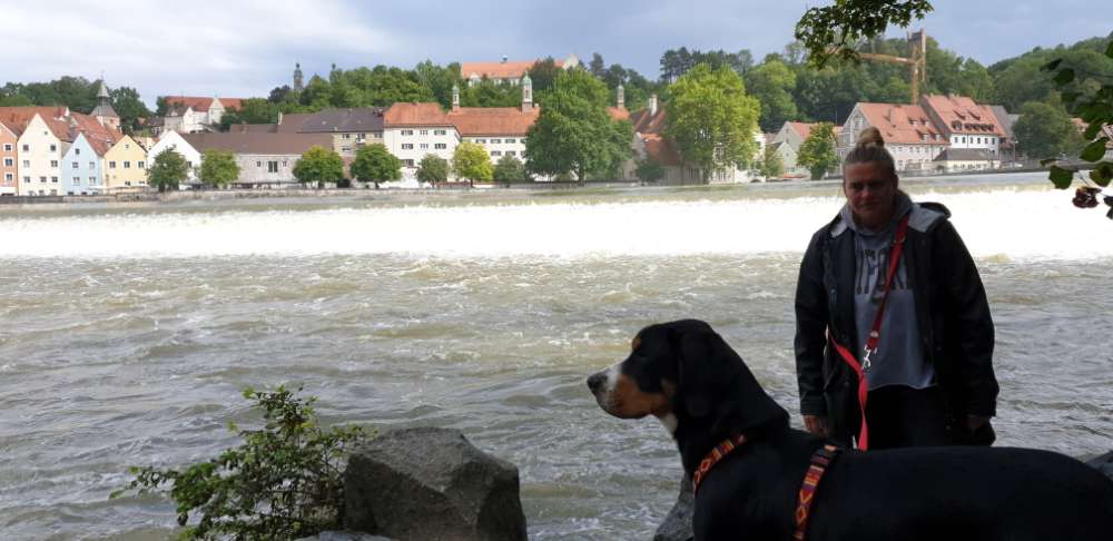 Hundetreffen-Gassi Runde& spielen-Profilbild