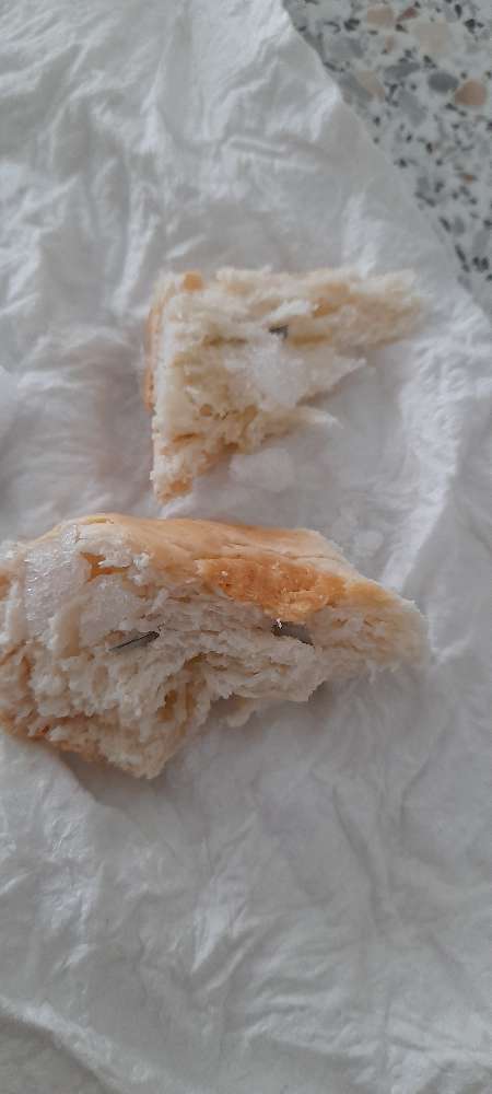 Giftköder-Giftköder-Profilbild