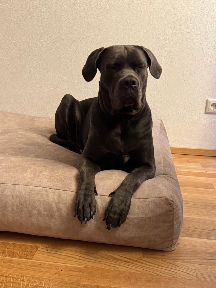 Suchmeldung-Rosi-Profilbild