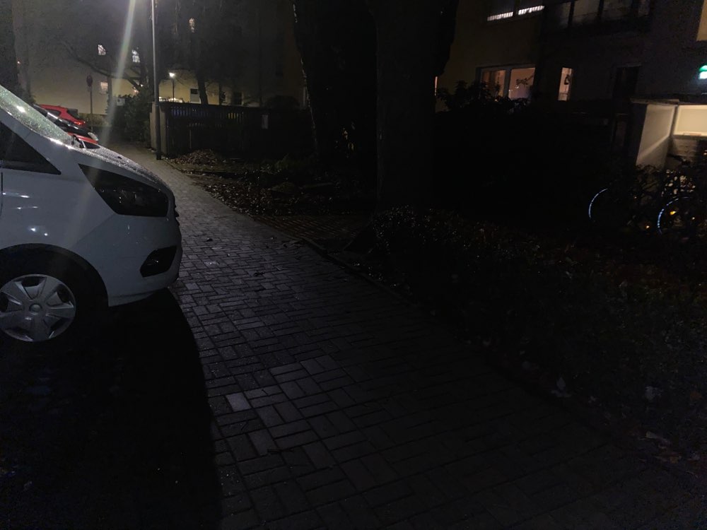 Giftköder-Ausgelegtes Hundefutter-Profilbild