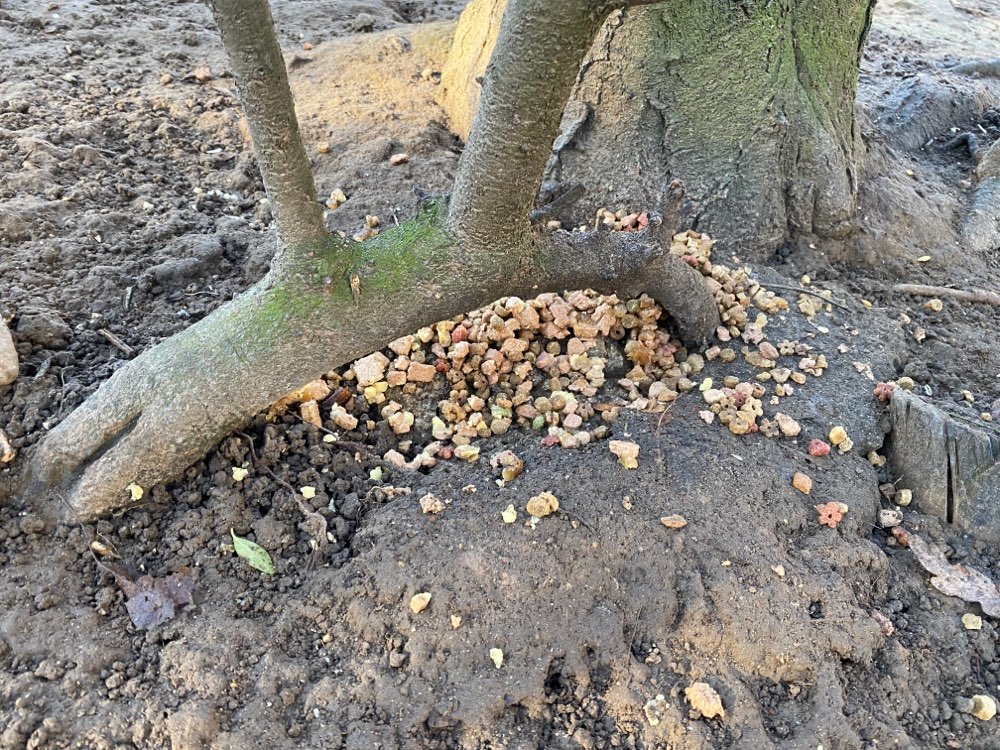 Giftköder-Leckereien mit untergemischten Flocken-Profilbild