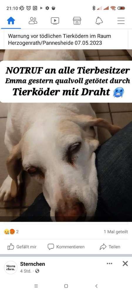 Giftköder-Giftköder-Profilbild