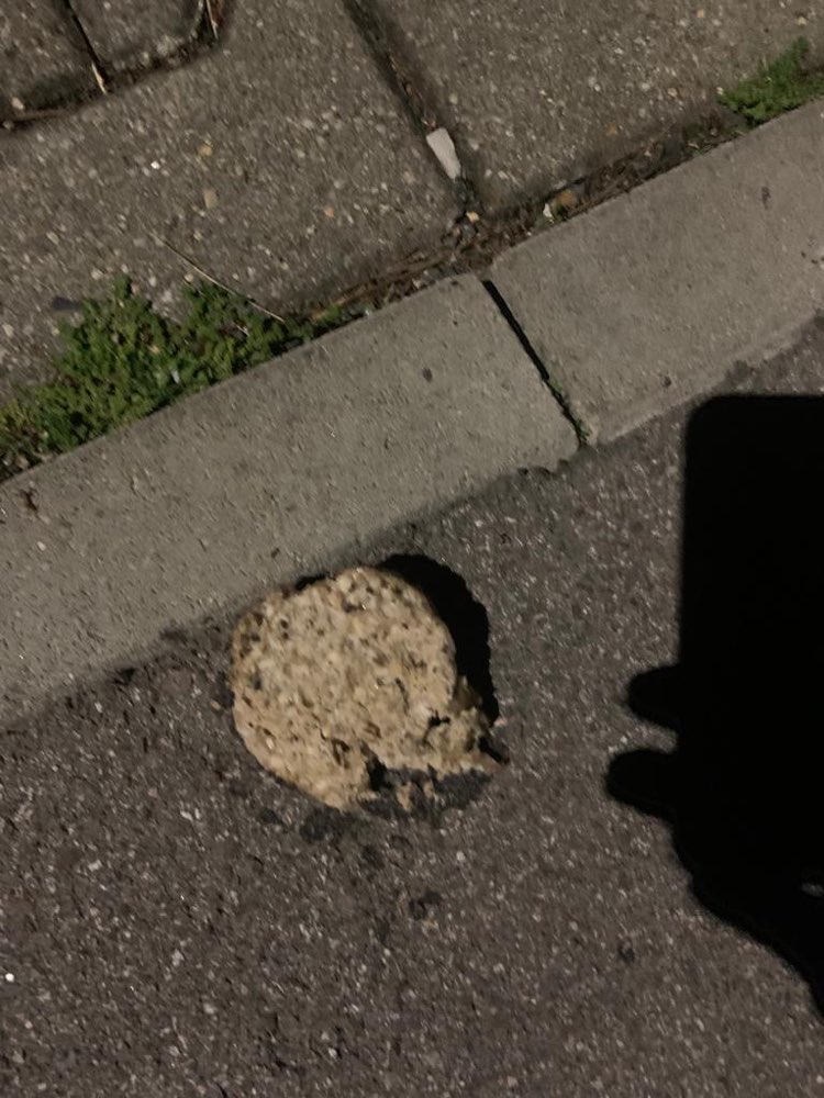 Giftköder-WIEDERHOLT FLEISCH!!-Profilbild