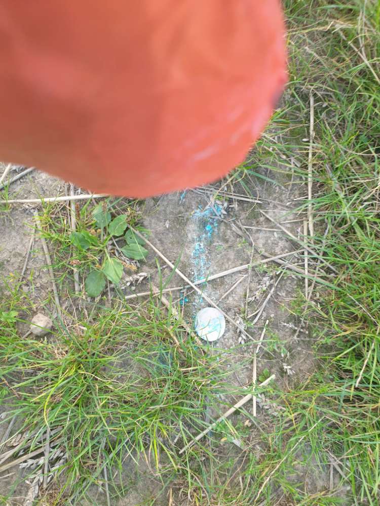 Giftköder-Schneckenkorn-Profilbild