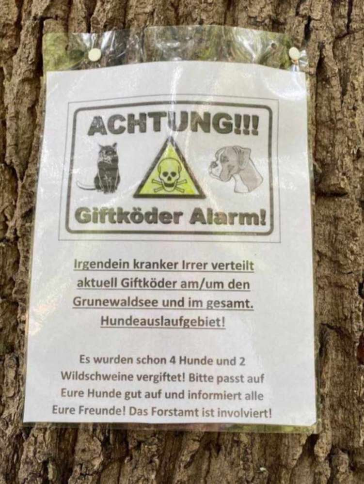 Giftköder-Giftköder Grunewaldsee/Hundeauslaufgebie-Profilbild