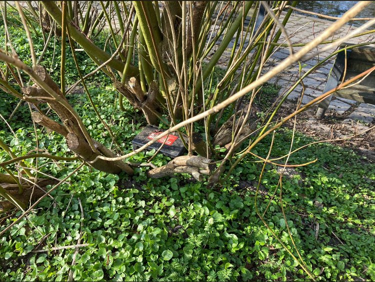 Giftköder-Rattengift-Profilbild