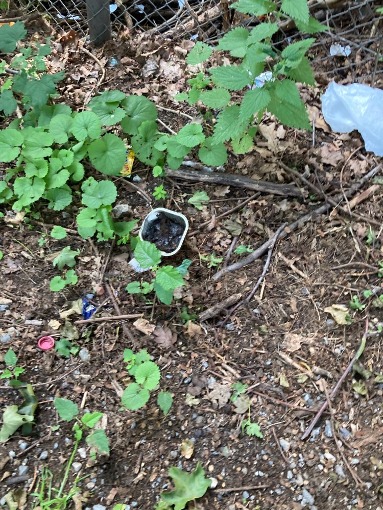 Giftköder-Giftgefahr-Profilbild