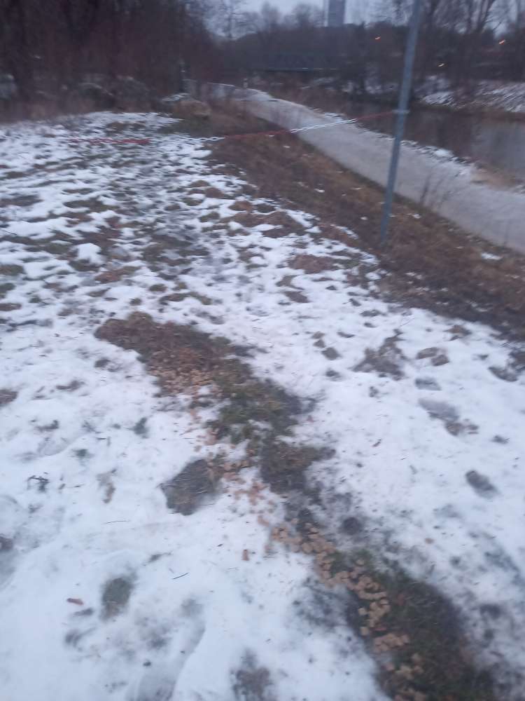 Giftköder-Futter ausgelegt  -  vielleicht giftig-Profilbild