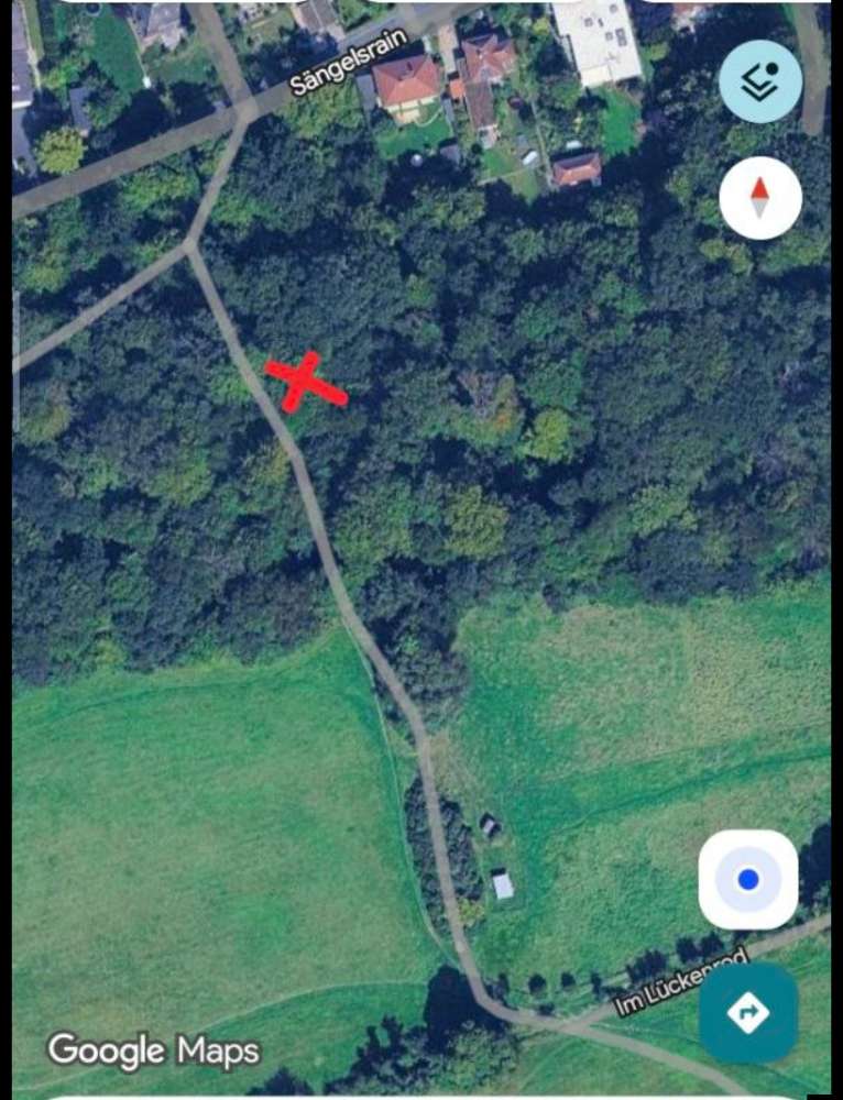 Giftköder-Toter Waschbär-Profilbild