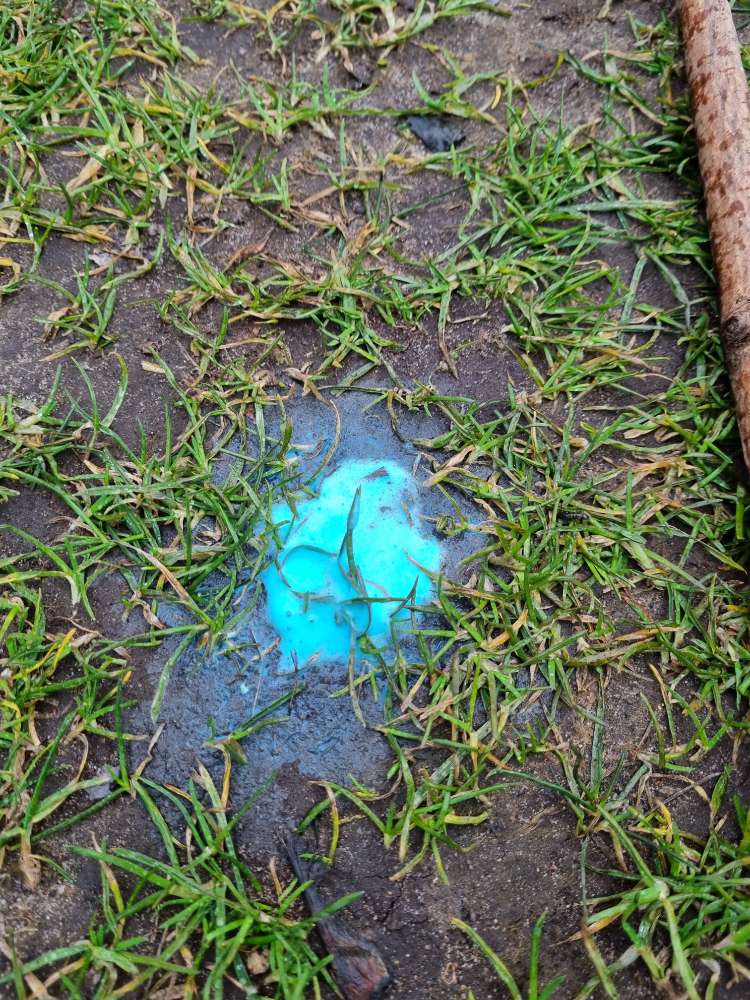 Giftköder-Blaue Substanz auf Wiese-Profilbild