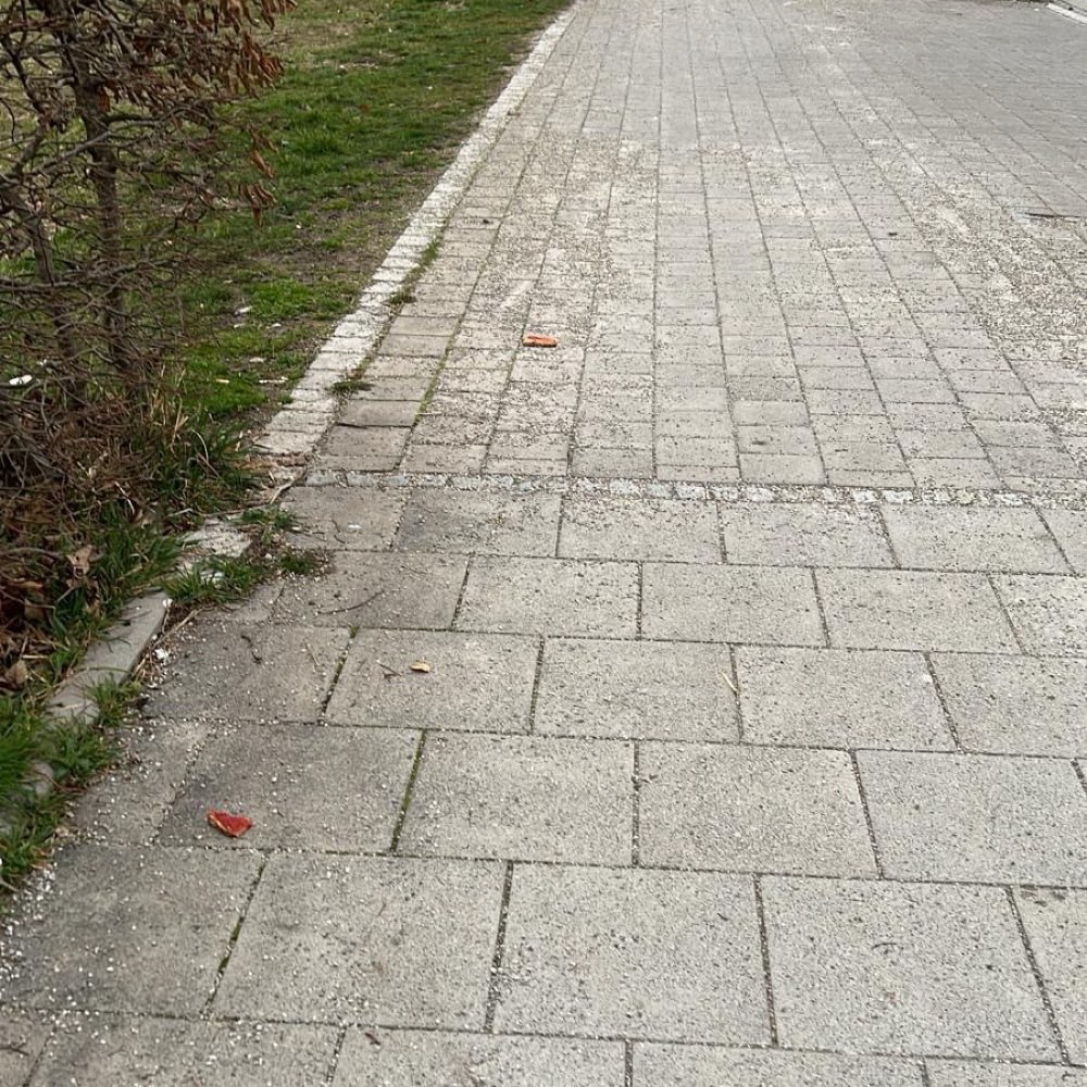 Giftköder-Wurstbrote mit Nägeln gefunden-Profilbild