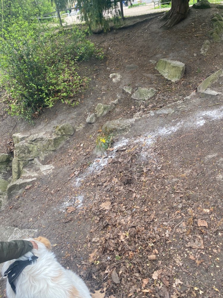 Giftköder-Weißes Pulver im Viktoria Park-Profilbild