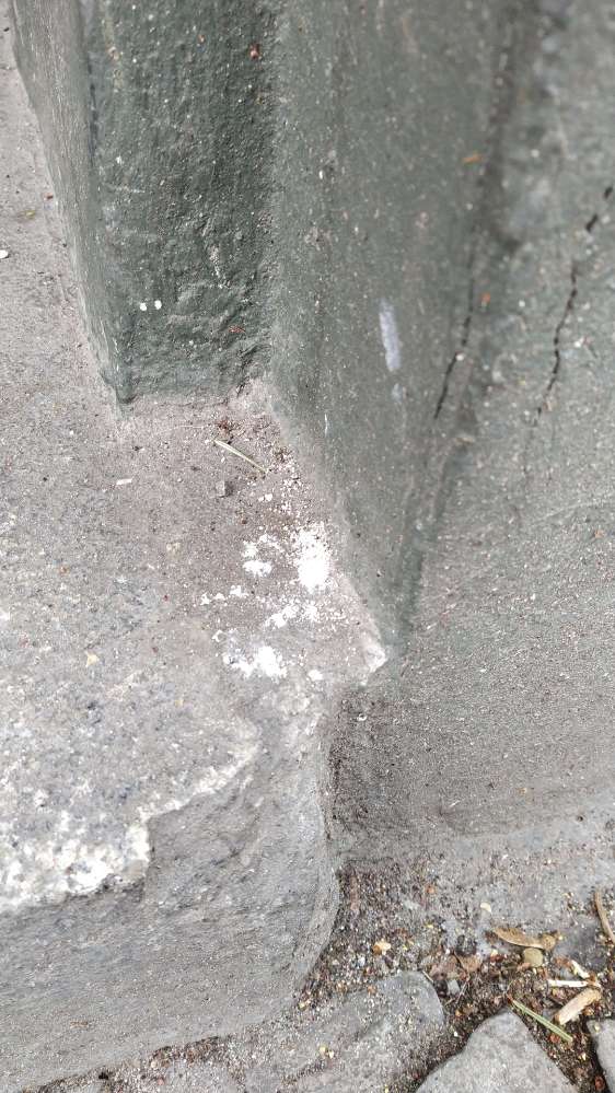 Giftköder-Weisses Pulver auf der Straße-Profilbild