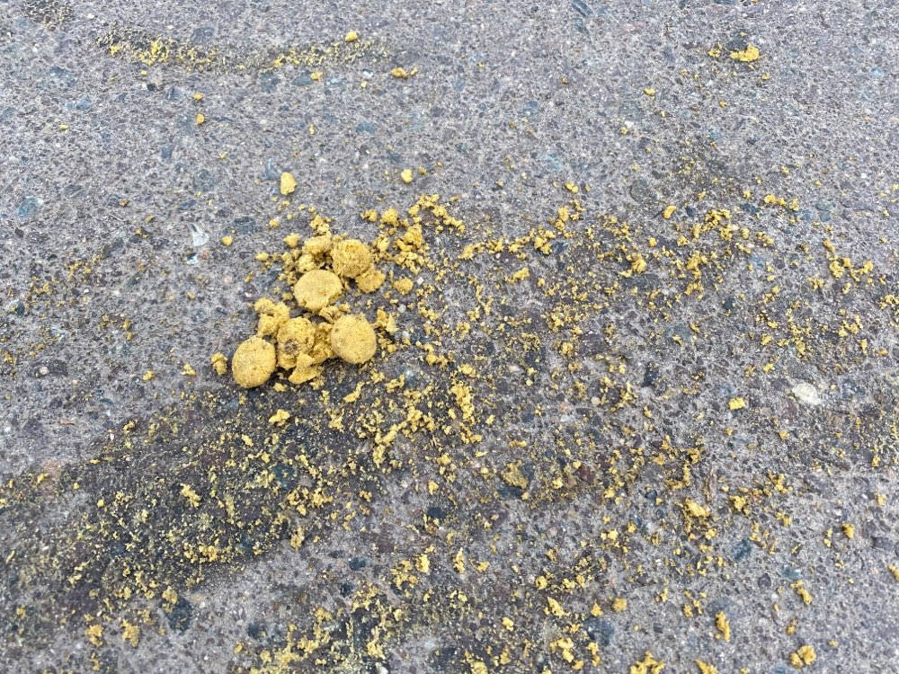 Giftköder-Giftköder-Profilbild