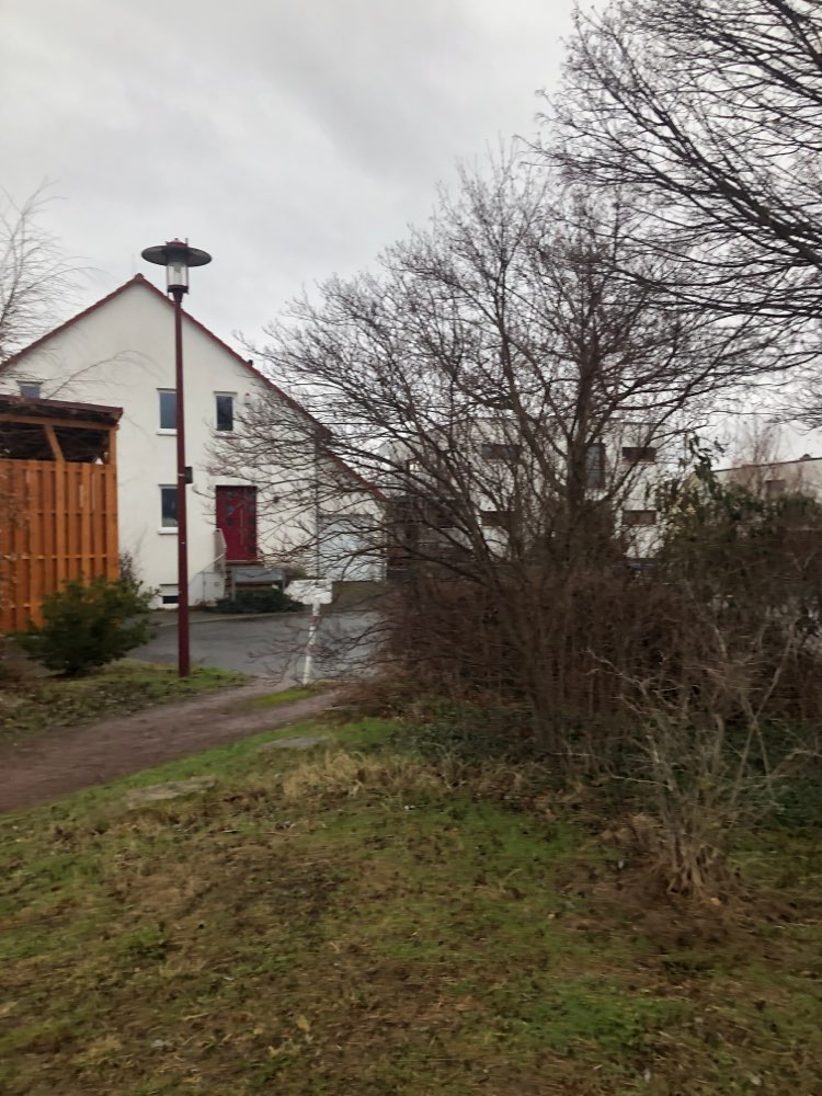 Giftköder-Ausgelegte Schinkenstreifen-Profilbild