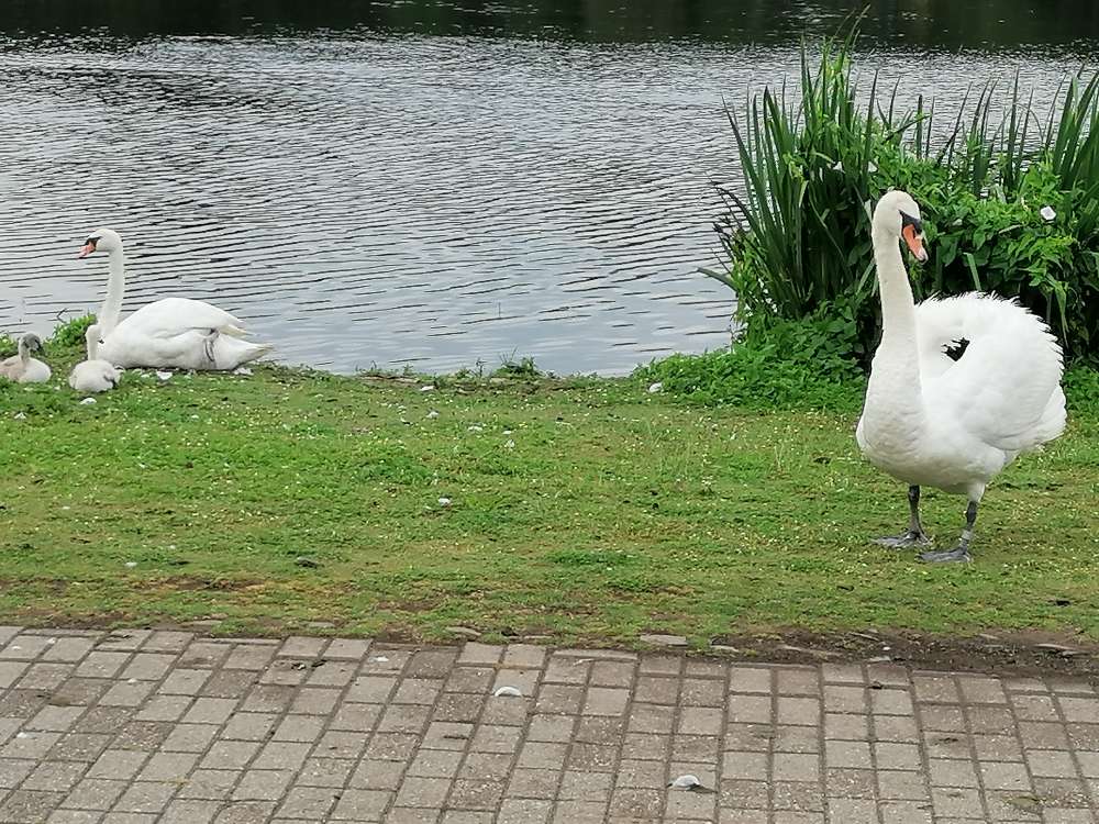 Giftköder-Eps-Profilbild