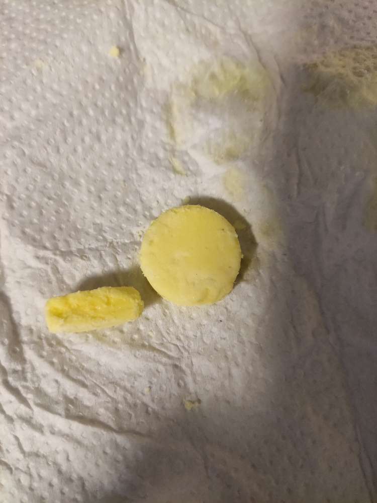 Giftköder-Giftköder-Profilbild