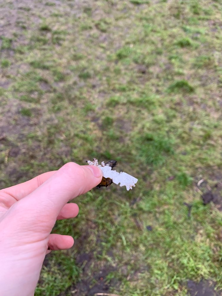 Giftköder-Rasierklingen Hundewiese Rahweg-Profilbild