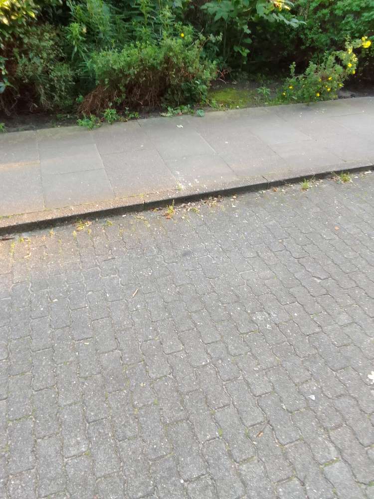 Giftköder-Glas auf gehweg-Profilbild