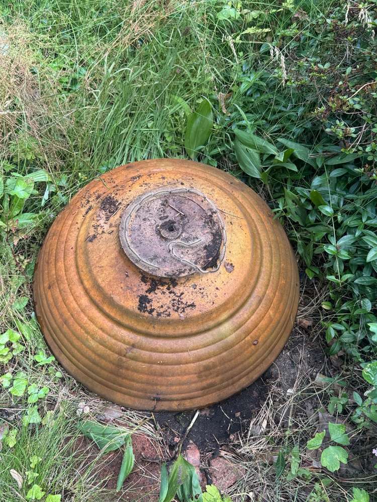 Giftköder-Kiefernprozessionsspinner im Uferweg-Profilbild