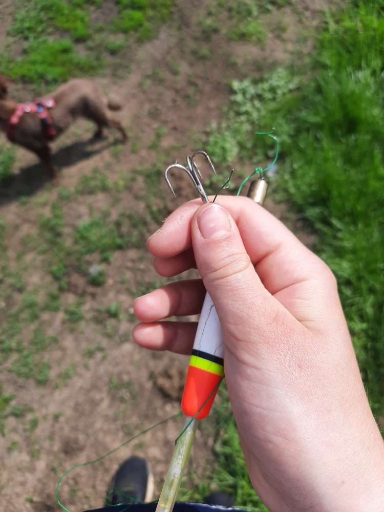 Giftköder-Angelhaken am Lahnufer-Profilbild