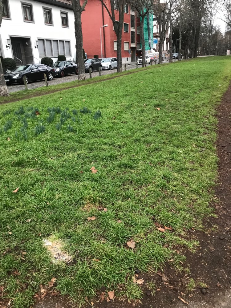 Giftköder-Weißes Pulver-Profilbild