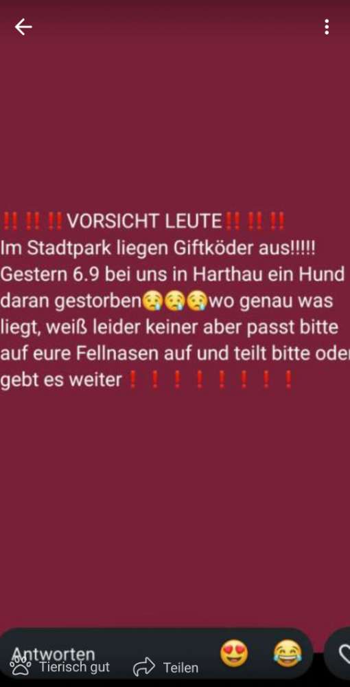 Giftköder-Snack-Salamis im Laub versteckt-Profilbild