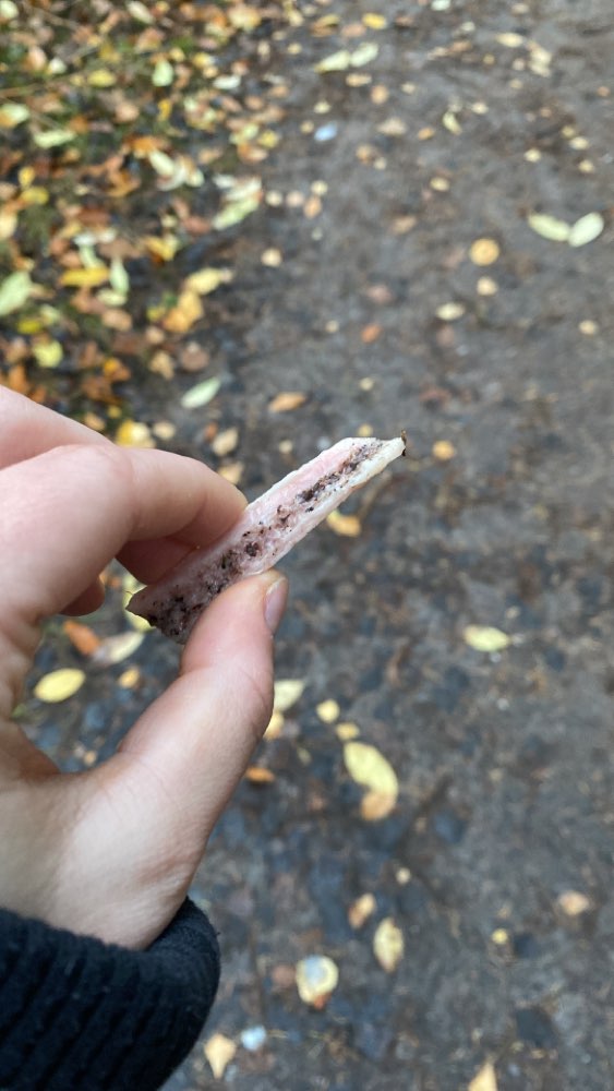 Giftköder-Merkwürdiger Knochen-Profilbild