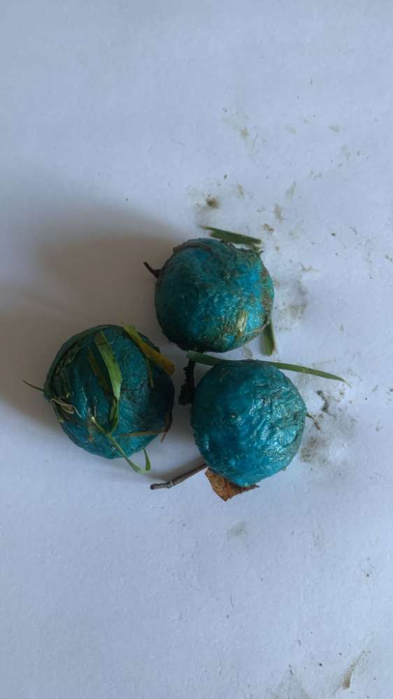 Giftköder-Giftköder zwischen Dorff und Krauthausen-Profilbild